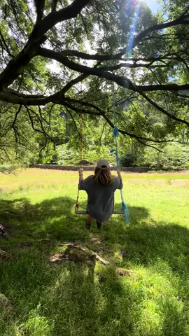Never to old for a tree swing #treeswing #wellbeing #healthy #mindset #wealthy #LifeAdvice #discipline #motivate #wealth #wellness #lifechanging #inspiration #healthylife #commitment #dedication #inspirationalquotes #successmindset #TrendTok #TrendTokApp