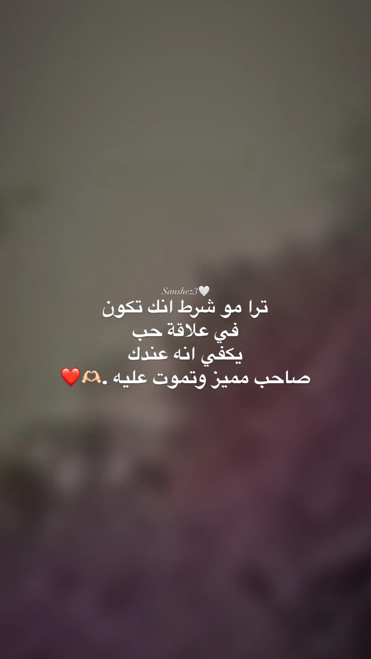 تموت عليه 🫶🏻❤️