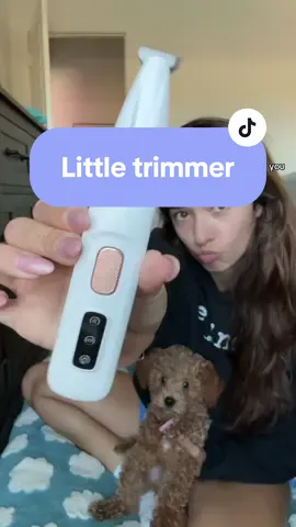 Perfect quick groomer for your pups or kitties! #falldealsforyou #tiktokshopblackfriday #tiktokshopcybermonday #dogsoftiktok #dogmom #catsoftiktok #catmom 