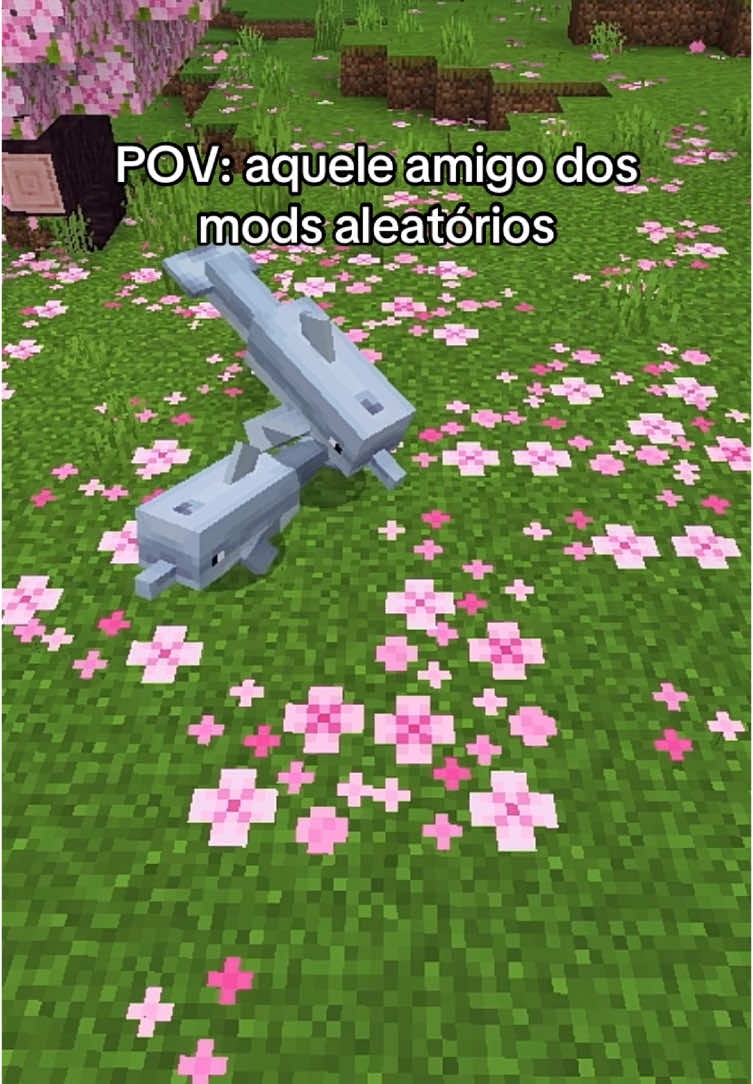 O cara põe os mods mais aleatórios no jogo mano KKKKKKKK  • #Minecraft #meme #foryou #foryoupage #mod 