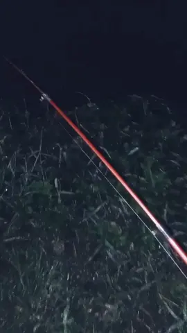 mancing liar sungai brantas #mancingmania  #mancingliar #mancingbaung #bacemanusus