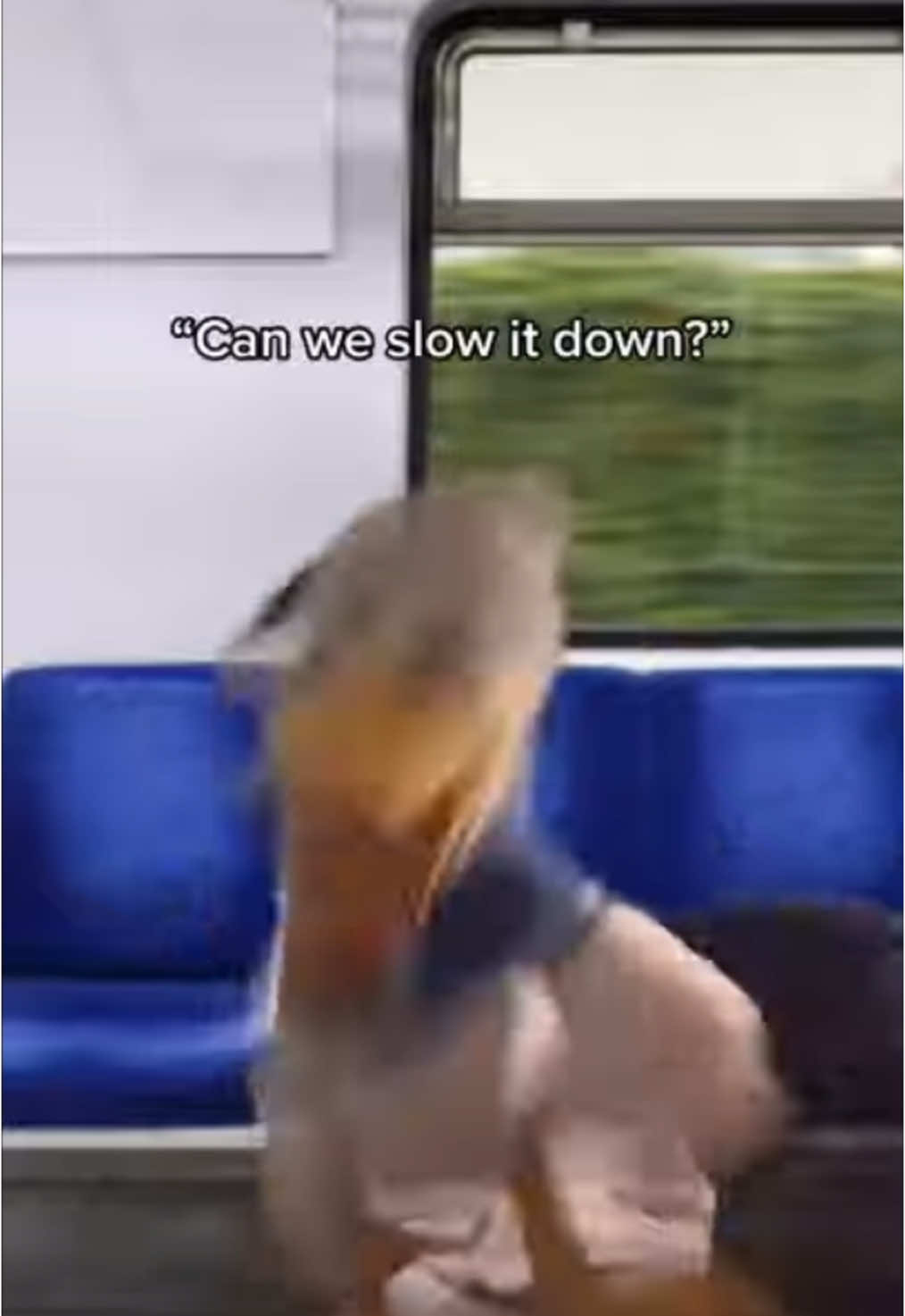 Donaldducc: Crazy Train Part 7! (Reuploaded)