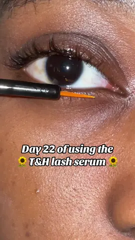 Day 22 of using the terez and honor lash serum to grow my lashes #lashes #lashjourney #lashserum #lashgrowth #lashgrowthserum #foryou 