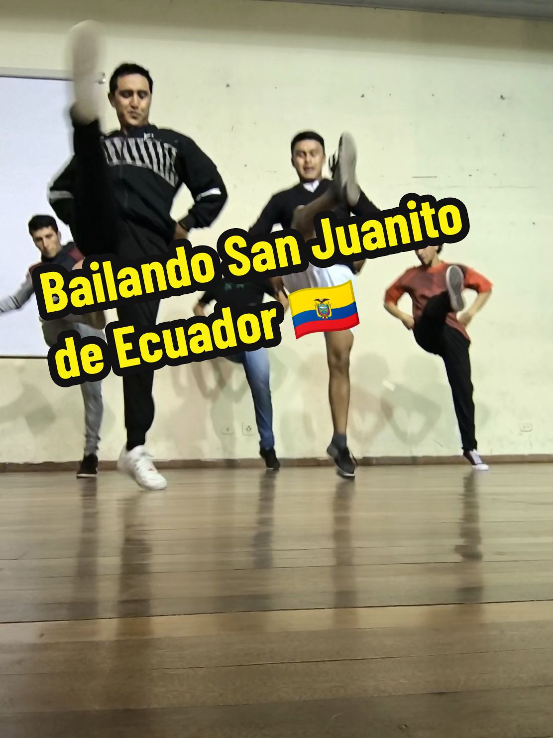 Bailando San Juanito de Ecuador 🇪🇨 #ecuador🇪🇨 #sanjuanito #colombia🇨🇴 #folklore #danza #yakuamu @🦁John🦁 @nicolas @josenasner @🅂 🄰 🄻 🄰 🅉 🄰 🅁 @churos 