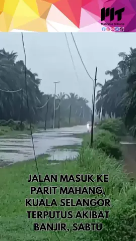 JALAN MASUK KE PARIT MAHANG, KUALA SELANGOR TERPUTUS AKIBAT BANJIR, SABTU BAHAYA KEPADA KENDERAAN RINGAN. KETINGGIAN AIR HAMPIR SETENGAH METER, PENGGUNA DARI IJOK SILA IKUT JALAN SUNGAI BULOH SASARAN Kredit video Kuala Selangor Official #fypシ #malaysiatribune #banjir 