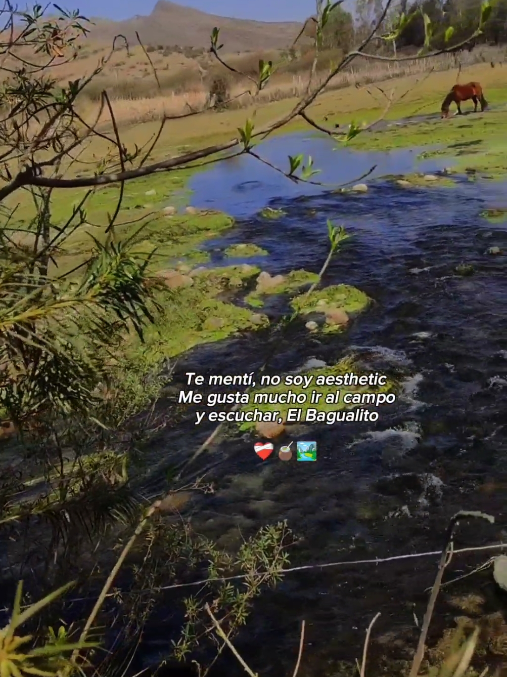 Te mentí, no soy Aesthetic ❤️‍🩹🧉 #tarija🇮🇩  #bagualito #frases #Viral #campo