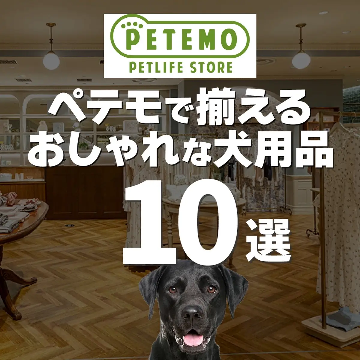 愛犬との生活をもっと豊かにしてくれるアイテムが勢ぞろい！毎日のケアやお出かけがもっと楽しくなること間違いなしです💡 ・快適に過ごせるふわふわベッド ・お散歩がもっと楽しくなるカラー＆リード ・室内でも安全に遊べるノンスリップマット ・旅行や移動に便利なキャリーアイテム ・愛犬が喜ぶたくさんのオモチャやおやつ ・健康管理にぴったりの自動給水器や便利グッズ ペテモなら、あなたと愛犬の生活をサポートする便利アイテムが揃っています🐶✨ #ペテモ #犬用品 #愛犬の暮らし #ペットグッズ #犬との毎日 #お散歩アイテム