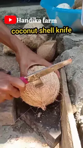 coconut Shell knife #alatpengupasbatokkelapa #howtoremovecoconutshell #alatkupaskelapa 