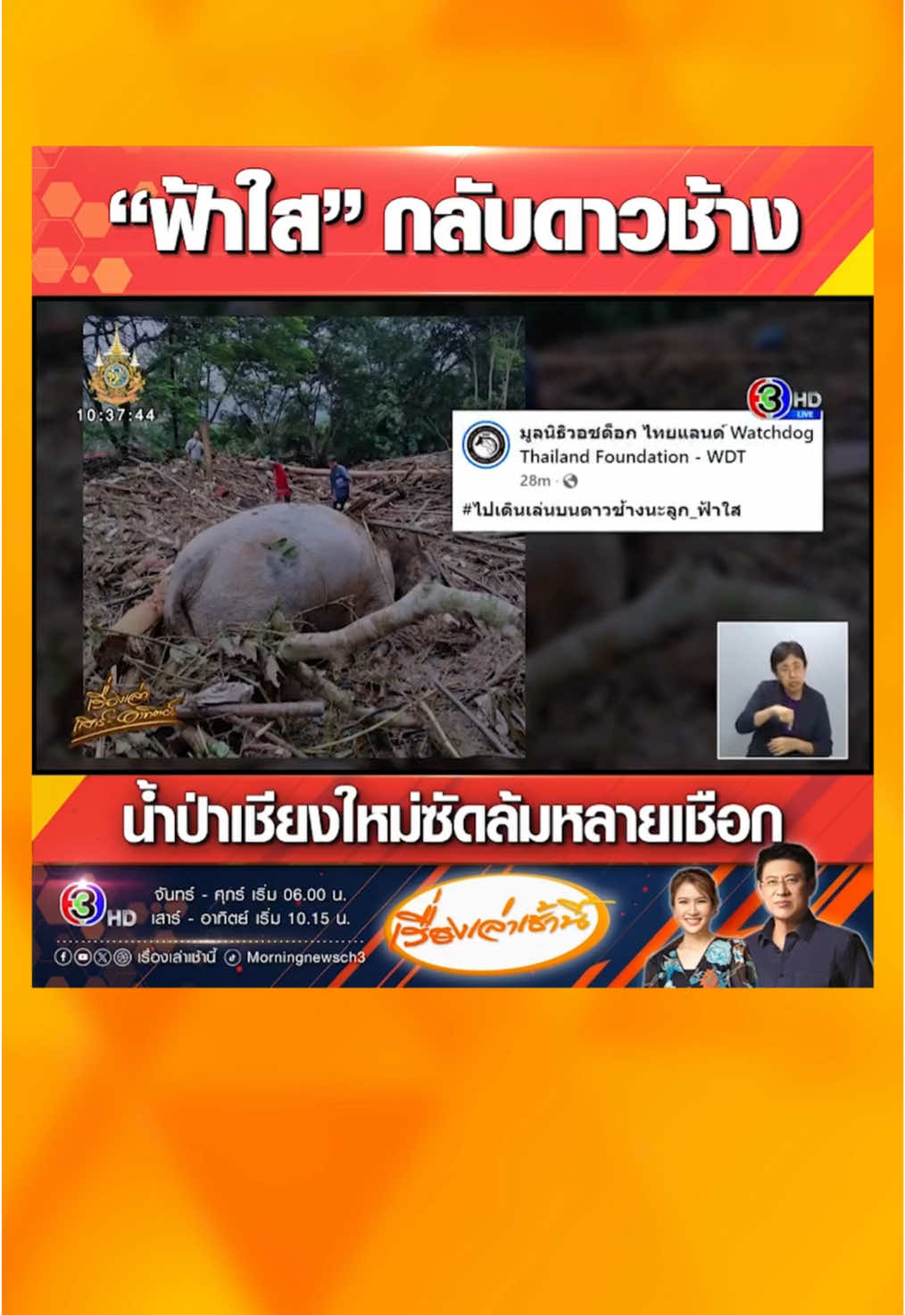 สุดเศร้า! “พังฟ้าใส” กลับดาวช้างแล้ว หลังถูกน้ำป่าเชียงใหม่ซัดหายจากศูนย์บริบาลช้าง ขณะที่ยังพบช้างเชือกอื่นๆ ล้มอีก แต่ยังไม่สามารถยืนยันได้ว่ามาจากปางช้างใด #เรื่องเล่าเสาร์อาทิตย์ #ข่าวช่อง3 #ข่าวสังคม #พังฟ้าใส #น้ำท่วมเชียงใหม่ #ช้าง #น้ำท่วม #เชียงใหม่ #น้ําท่วม67 