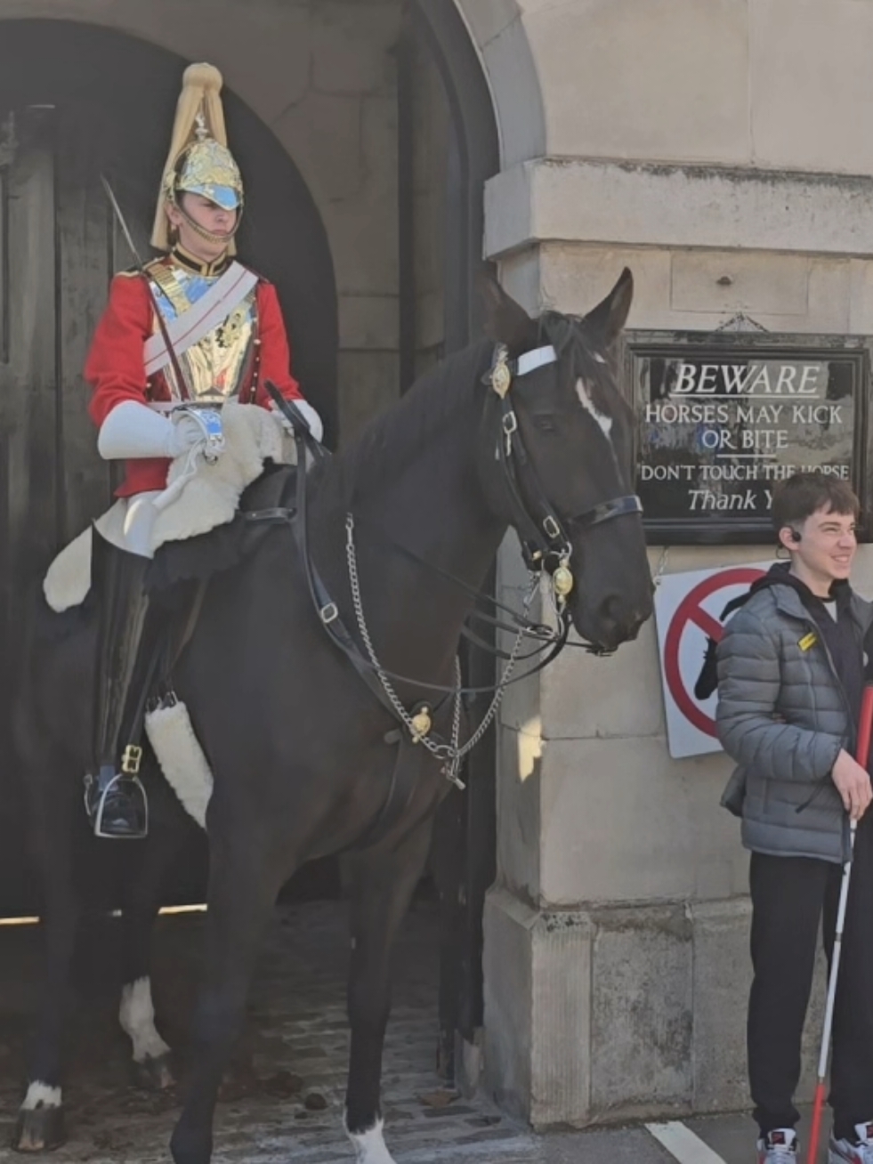 #kingsguard #horseguardsparade #london #fyp #horse #tourist #