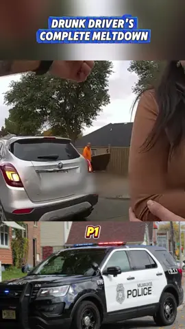 Drunk Driver's Complete Meltdown