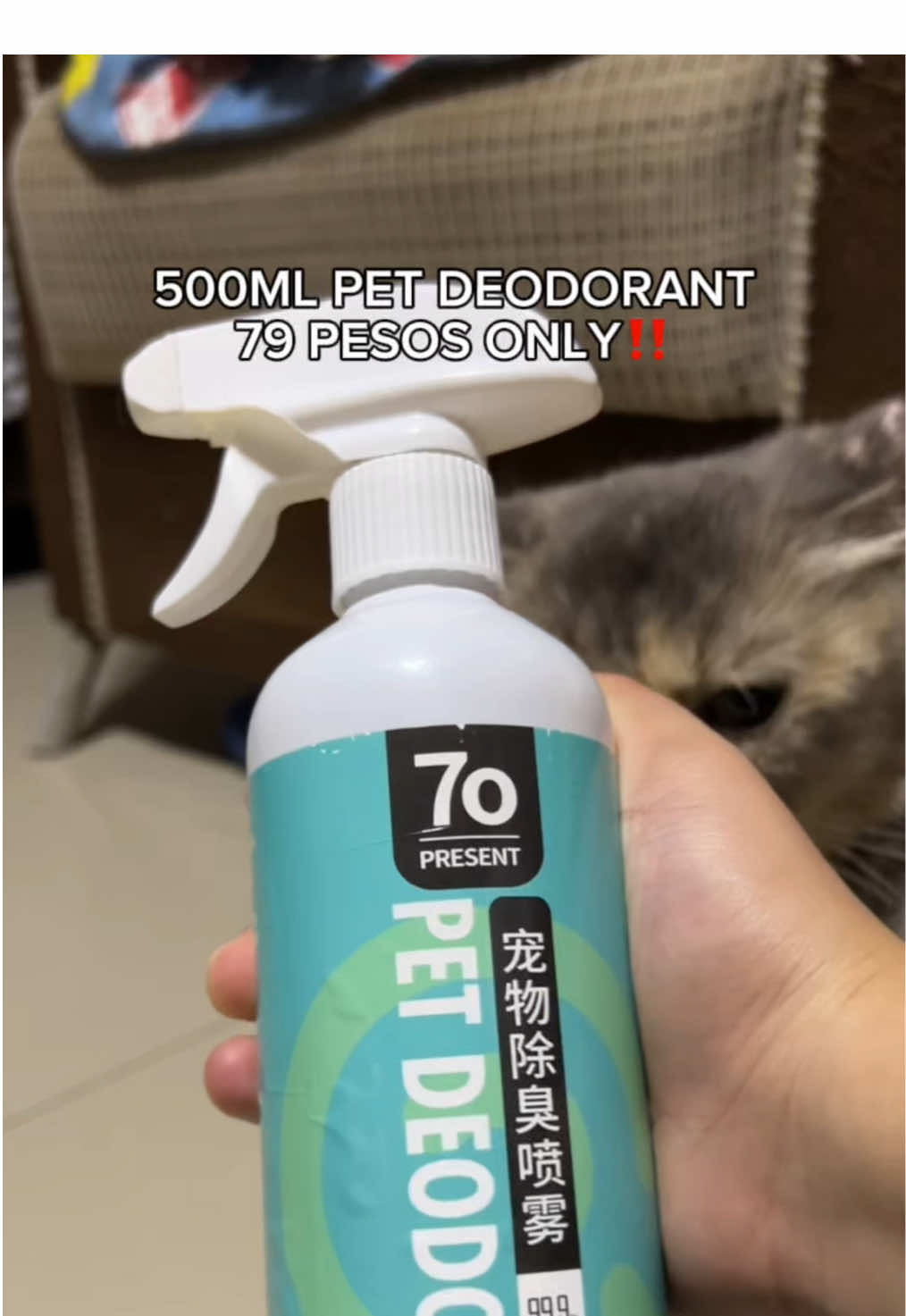 Pet Deodorant Spray! Say goodbye to the smelly poopoo and wiwi ng mga furbabies na’tin #fyp #petdeodorant #catsoftiktok #foryou #fypシ #petdeodorizer #petdeodorantspray #pets #petspray 