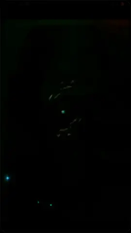 #CapCut 