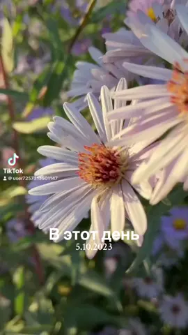 #ВэтотДень 