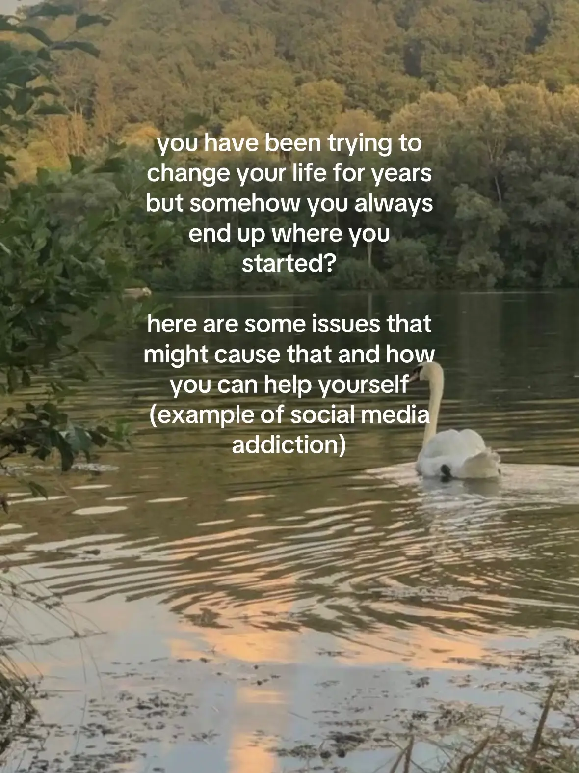 sometimes self help can get a little disorganized and out of hand, you wanna be productive but you've always done the same things, you're not really moving forward since you've had the same "plan" for years. as new years is approaching, you might fall into it once again. break out of it for good. - #selfimprovement #selfdevelopment #personaldevelopment #GlowUp #selfhelp #muslimtiktok #muslimgirl #newyearsresolution #visionboard #failure #changeyourlife #fyp #fypage #fypシ゚