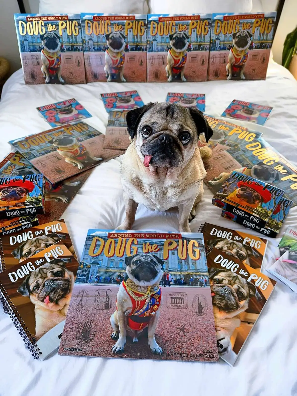 My new 2025 calendar (out now!) is extra special—because YOU made these 10 years so awesome! By far our favorite one yet, this “around the world with doug” theme even has gold foil on the front. So many of you collect these and this one is for you guys. Get it where calendars are sold! ❤️📆