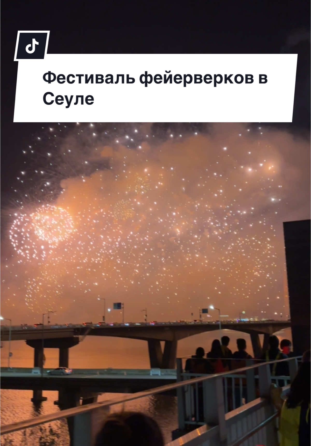 Фестиваль фейерверков в Сеуле 2024 #сеул #фестивальфейерверков #seoulfireworksfestival #fireworkfestivalseoul #южнаякорея 