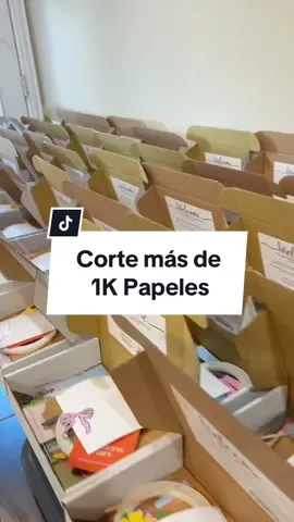 El lunes 7 empieza encuentro creativo 2024 aqui En Dallas Texas Estoy preprando los kits para mi clase de papelería creativa Pronto le sigo contando #encuentrocreativo #encuentrocreativo2024 #papeleriacreativa #dallastexas #papercraft #clasepapeleria 