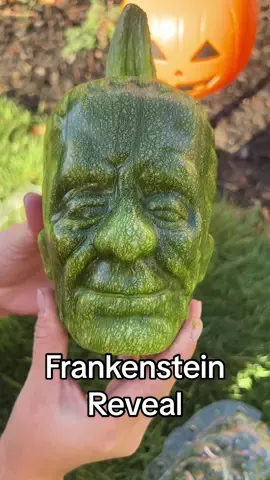 Frankenpumpkin DID NOT DISAPPOINT 👏 👏 👏  He is so shiney!  He is soo cool!!  #frankensteinpumpkin #frankthepumpkin #frankenpumpkin #pumpkinpatch #pumpkins 