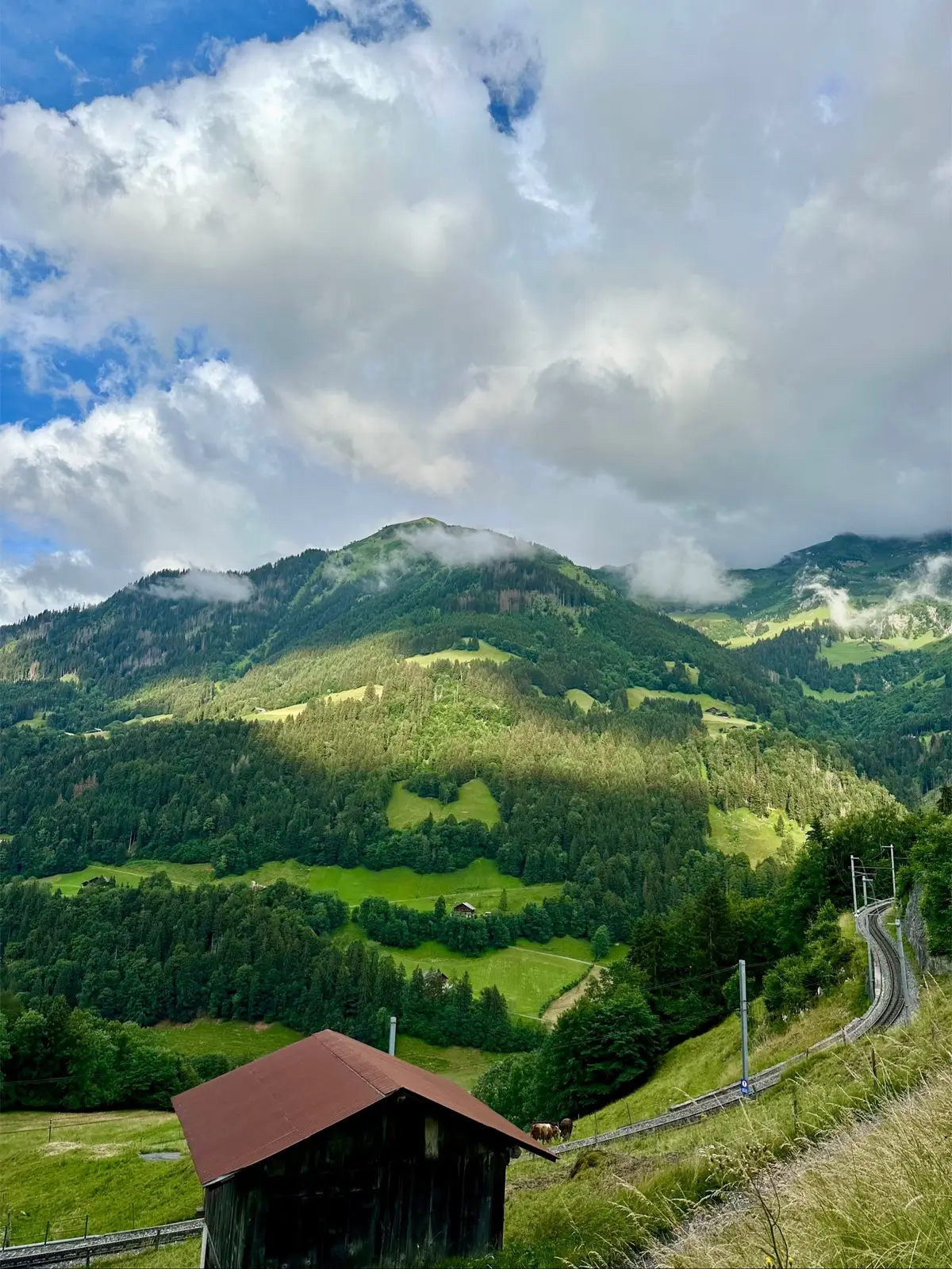 Clouday day in the swiss alps #landscape #nature #countryside #hike #hikecore #travel #outdoor #alps #mountain #switzerland 