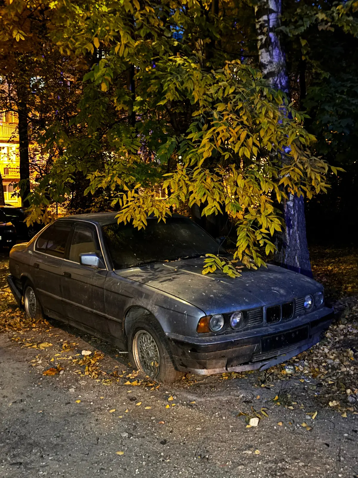 бедная е34 отжила свое #bmw #scdbmw #e34 #bmw5 #cars #abandoned #bumer #vibe