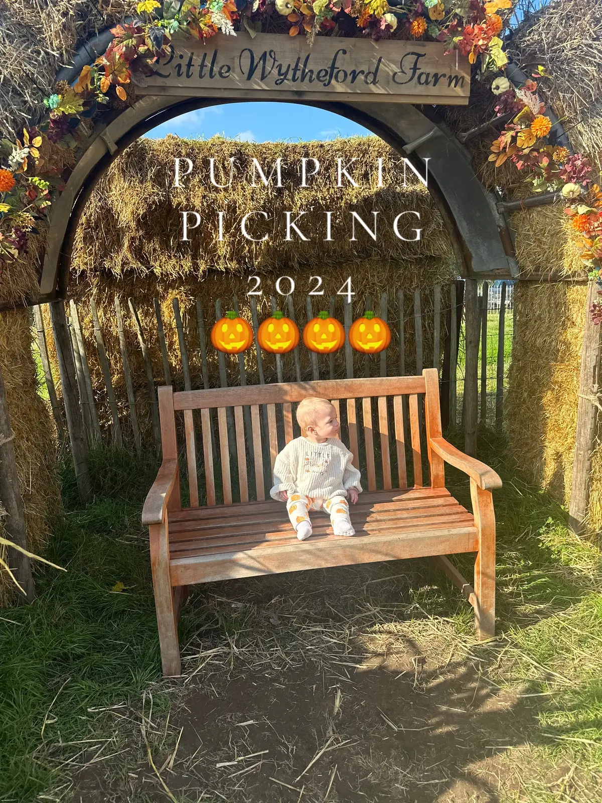 #foryou #fyp #pumpkinseason #pumpkinpatch #pumpkinpicking #babyboy #MomsofTikTok #foryoupage 