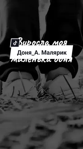 Виросла моя маленька доня_ А. Малярик #пісняукраїнською #слухайукраїнське #ші #поезія 