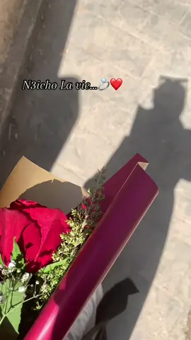 Mira ha ❤️ #n3icho_la_vie ❤️ #kader_japoni #numidialezoul #algerie🇩🇿 #algeria #tlamcen #oran #timouchnt46 #tipaza #tipaza42 #gharb #maroc #tunes #fyp #fypシ゚ #tiktok_india #tiktoknews #tiktoker #tiktokshop #trendingvideo 
