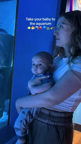 Such a fun activity for infants! 😊 #baby #babyactivities #babiesoftiktok #babyboy #MomsofTikTok #mama #momlife #luca #aquarium #babyaquarium #babytok #4months 
