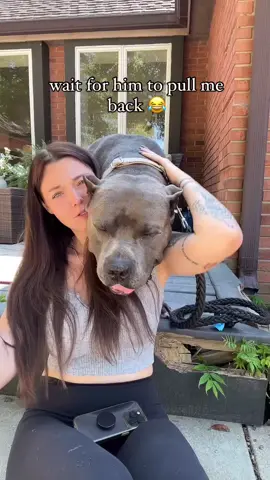 best dog & girl duo 🦍👸🏻 #xlbully #bigdog #pitbull 