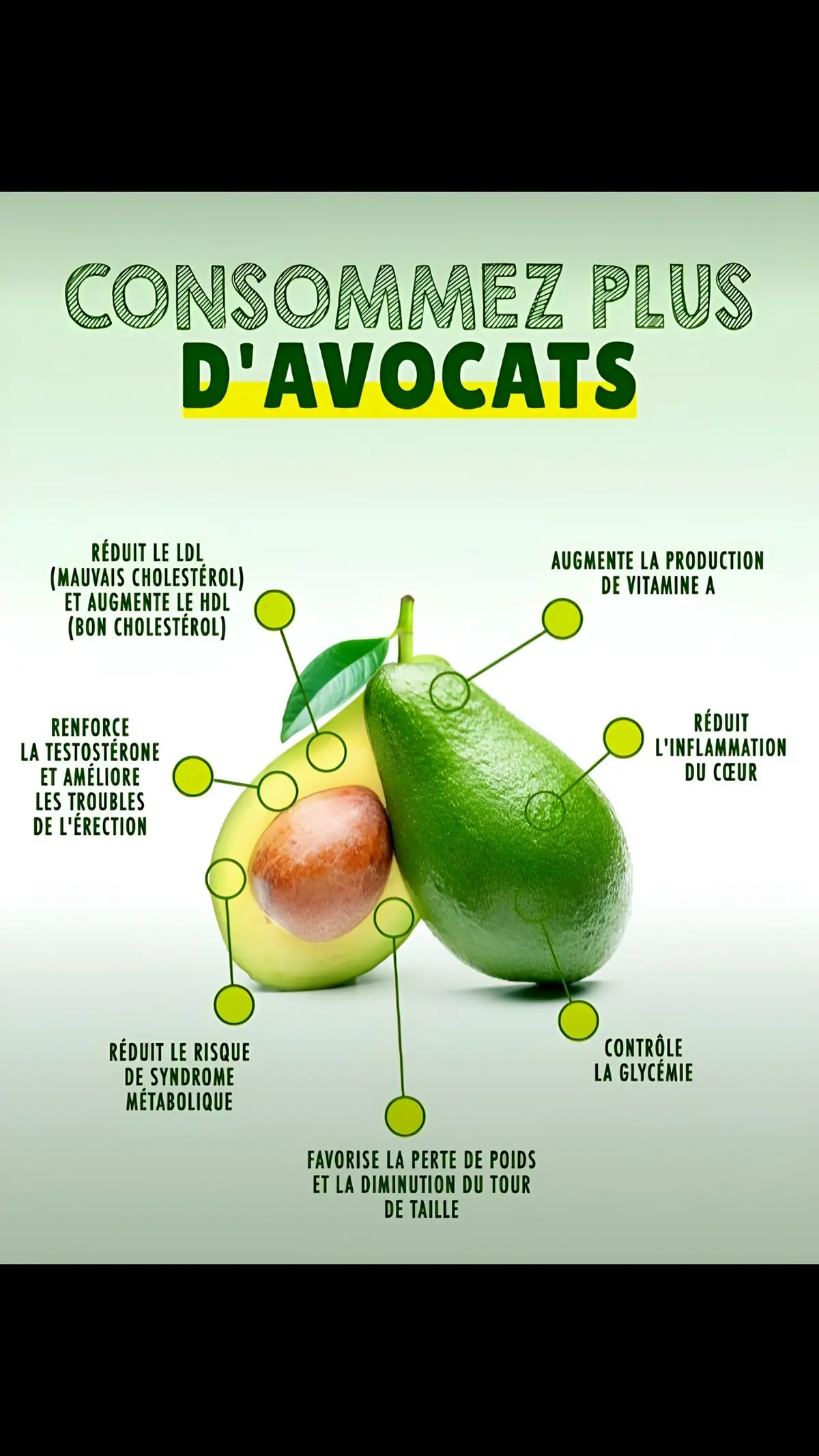 #avocat #avocado #avocadohealth #nutrition #sante #astucenutrition 