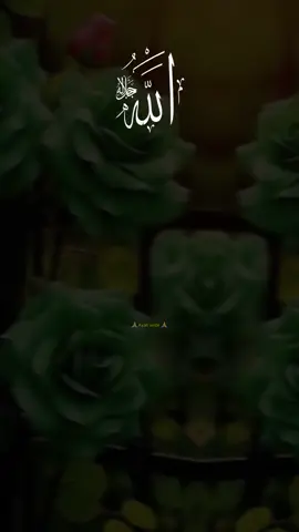 #CapCut 