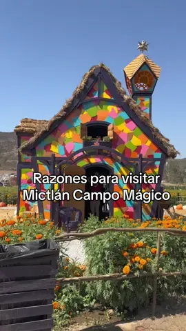 Algunas de las razones por las que todos queremos ir a Mictlán Campo Mágico 2024. 🎃🍁🏵️🇲🇽✨ Recuerda que es... 🐶 Lugar Pet Friendly 🍁 Del 28 de septiembre al 03 de noviembre. 🗓️ Evento abierto todos los días. ⏰ 9:00am -5:00pm 🎫 $180 pesos MXN (a partir de los 3 años) #mictlan #mictlantijuana #campomagico #mexicomagico #Otoño #tradicionesmexicanas  #turismo