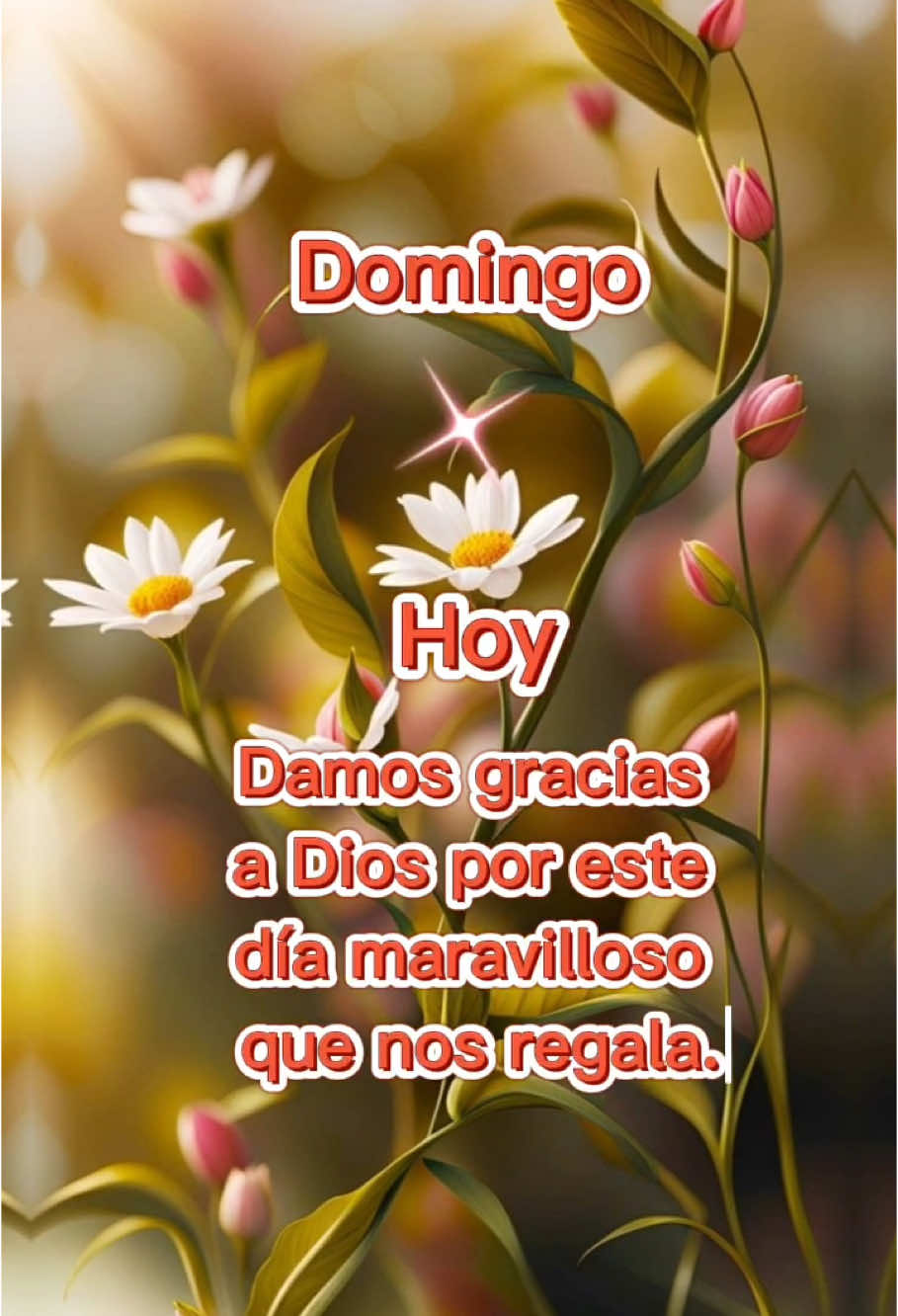 Feliz Domingo🙏✨ #felizdomingo #buenosdias #mifamilia #diostebendiga 