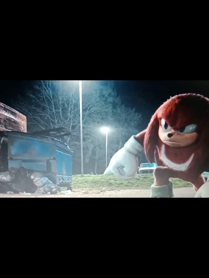 #knuckles #knucklestheechidna #knucklesedit #knucklesserie #sega #series #fypagetiktok #viral?tiktok🥰 #videogames