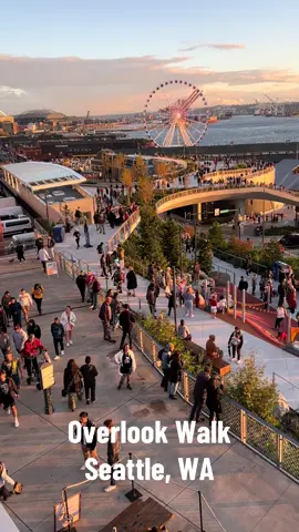 #seattletiktok #overlookwalk #seattlewaterfront #downtownseattle #pikeplacemarket 
