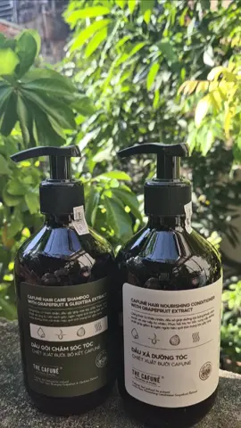 Combo dầu gội bưởi, bồ kết dầu xả CAFUNE không chưa paraben #daugoi #daugoithaoduoc #cafune #chamsoctoc #tocdepmoingay #tiktokviral #lenxuhuong_tiktok #reviewlamdep #cococashop 