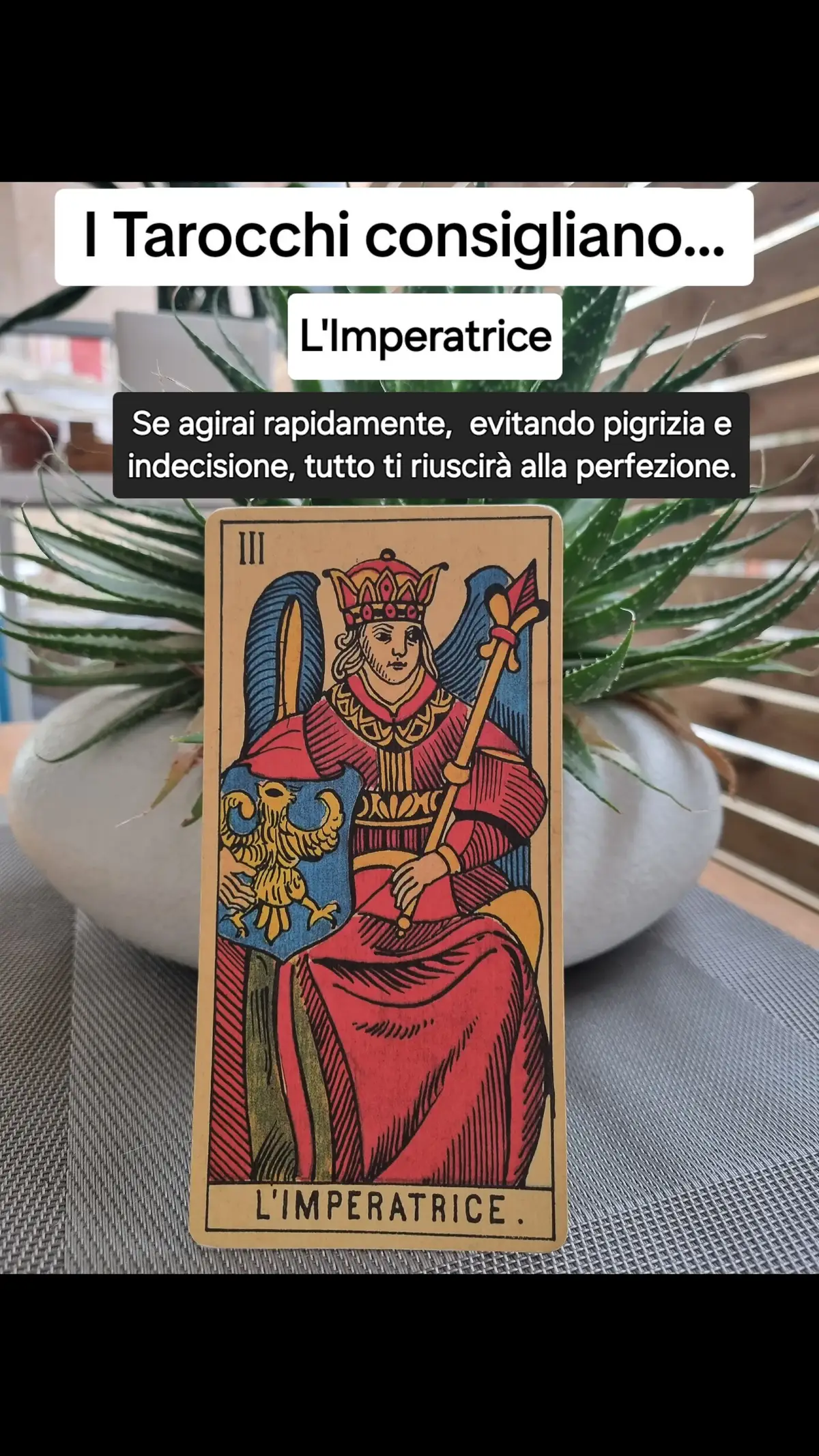 Contattami in privato per info consulti 💝  #tarocchi #tarocchiinterattivi #tarot #tarotreading #perte #foryou #foryourpage #karma #interagisci🍀✨ #cartomanzia 