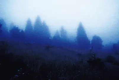 другая версия #lyricsvideo #foruyou #fyp #рекомендации #текст #текстпесни #песня #зима #lyric #lyricsvideosongs 