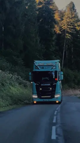 #truck #trucker #lkw #lkwfahrer #scania #forst #holztransport 