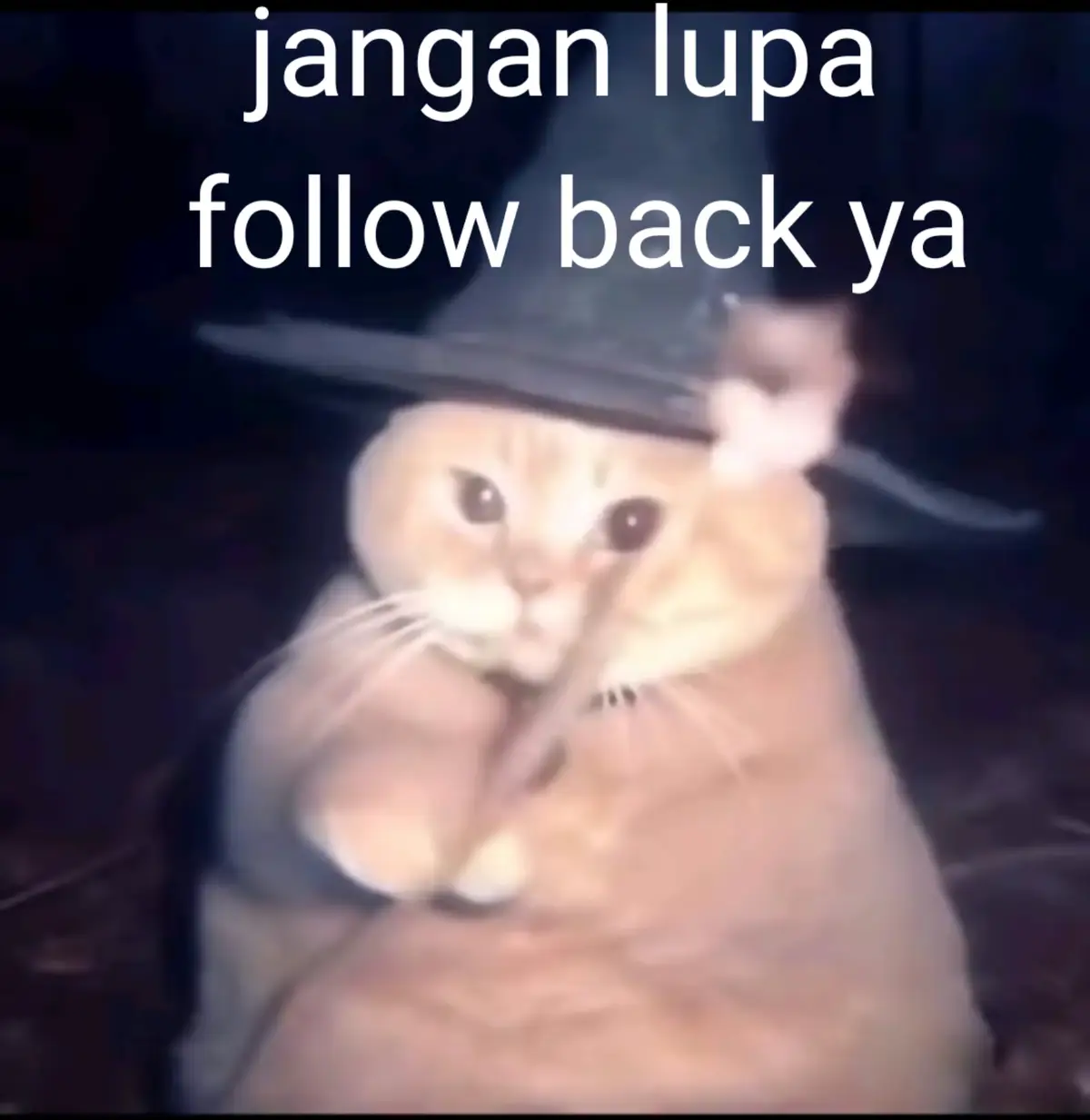 #magic  #cat #kucing #penyihir #gendut #lucky #catwizard #japan #good #goodvibes #fyp #fypシ #fypシ゚viral 