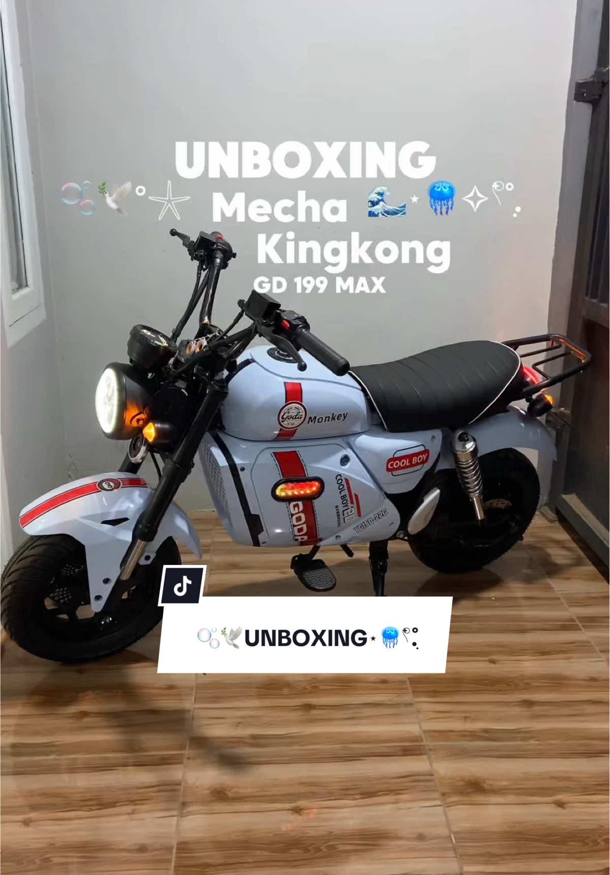 Akhirnya unboxing Mecha Kingkong GD 199 Max idamanku🥹😍 Punyaku warna Blue Saber 🩵🫧🕊️°𓇼⋆🪼✧𓍢ִִ໋˚. @Goda.Indonesia @goda-C  #GodaMechaKingKong #GodasafersmartEV #Godalndonesia #Sepedalistrik #CapCut #Godalndonesia #GodaPilihanKita #ebike #sepedalistrik #sepedalistrikindonesia #sepedalistrikhedon #fyp #viral #foryoupage #sepedalistrikgoda #explorepage #fyp #viral #motorlistrik #Goda #GodaKingkong