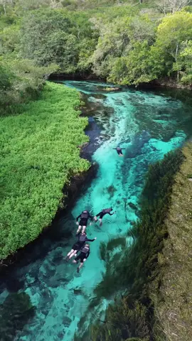 Sabe aquele lugar que parece um sonho? Pois é, o Rio Sucuri, em Bonito, é exatamente assim! 💦✨ Com águas cristalinas que revelam cada peixinho e plantas submersas, a flutuação por lá é uma experiência mágica. Imagina se sentir parte desse mundo subaquático tão lindo! 🎥: @peresprodutora 🔗 Acesse o nosso site e garanta o melhor preço - link disponível na bio! #HurbTeLeva #RioSucuri #BonitoMS