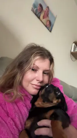 #dachshundaddict #calluscriminals #meghantrainor #fyp #tik_tok #uk #northwales🏴󠁧󠁢󠁷󠁬󠁳󠁿 #trendingsong #viralsong 