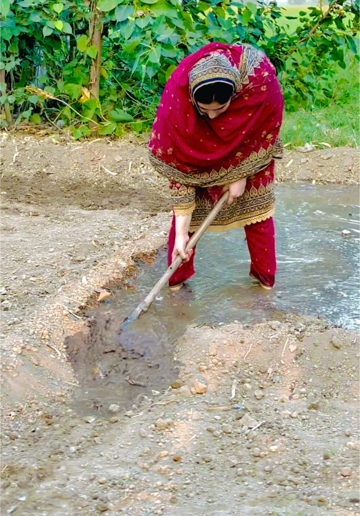 Pani da nakka #azraimran51 #standwithkashmir #azraimran #foryoupage #pakistan #villagequeenAzraImran #villagelife #foryou #tractorgirl #imranmangat #onemillionaudition #CapCut #livegift 