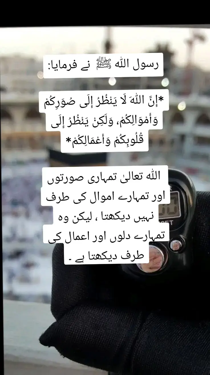 صلی اللّٰہ علیہ وآلہ واصحابہ وبارک وسلم ❤️