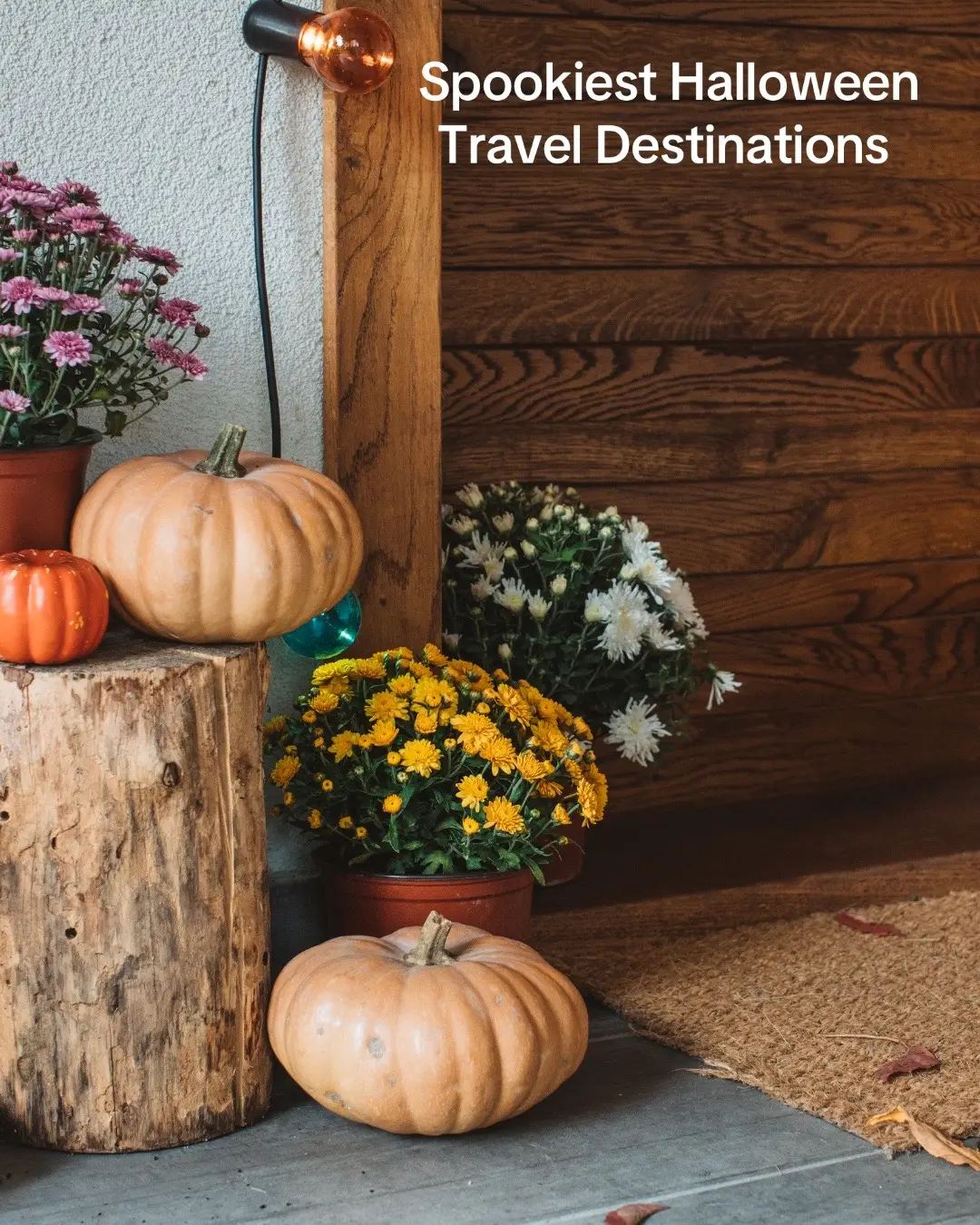 If you're a lover of Halloween, you won't want to miss visiting some of these spooky and scary destinations and events around the world💀 Salem, USA -  Thanks to its infamous 17th-century Witch Trials, Salem has a reputation for supposedly haunted landmarks such as the Witch House and the Burying Point Cemetery Mexico City, Mexico -  The Day Of The Dead is a must see parade including dancing Catrina, ceremonial skeletons, floats and lots of dressing up Transylvania, Romania -  Don't miss a visit to the legendary Dracula's Castle located high in the forests of Transylvania Derry, Ireland - Europe’s biggest Halloween festival, Derry Halloween, sees a series of themed installations and activities across the city reflecting different pagan themes each year  Ottawa, Canada - Ottawa’s Pumpkinferno consists of over 7,000 hand-carved pumpkins which are lit up as night descends Orlando Florida - Delight in a spooky atmosphere and frightful fun at Disney's family friendly festivities  To avoid being spooked by expensive roaming fees whilst you're there, don't forget to grab an Airalo eSIM to stay connected👀 #Airalo #HalloweenDestinations #SpookySeason #SalemTravel #ArialoFamily #Transylvania 