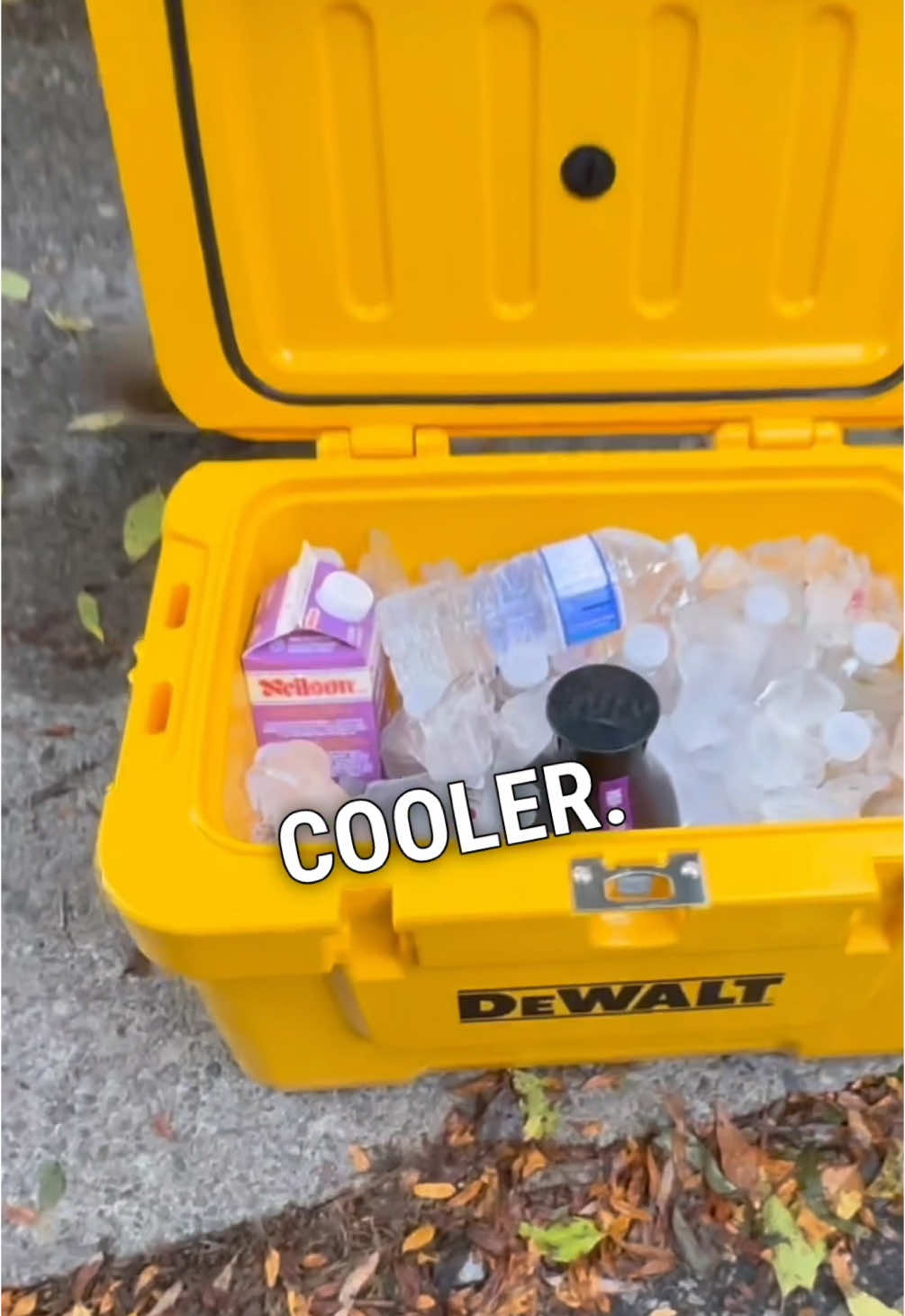 A dewlt cooler.. 😎#carpentersoftiktok #tooltips #powertools 