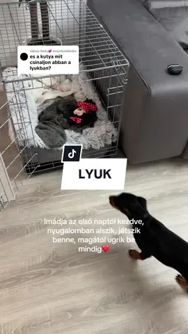 Válasz @lindy💞 részére Köszöni szépen nagyon jól van abban a “lyukban”😂 Csak éjszakára van becsukva :)