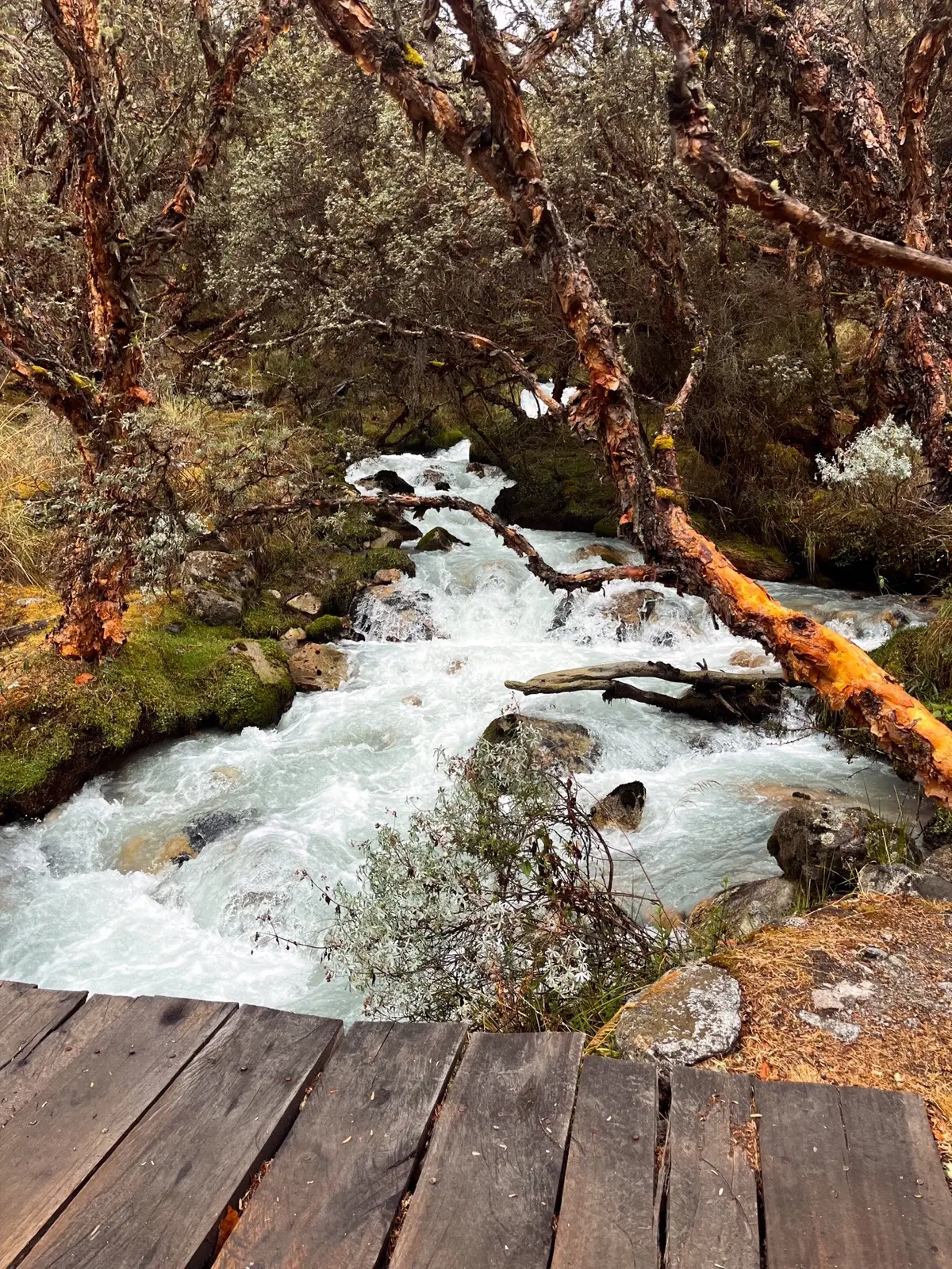 #huaraz #laguna69 #lagunallanganuco #huascaran #fypage 